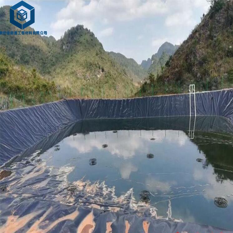 聚乙烯土工膜在污水池应用案例