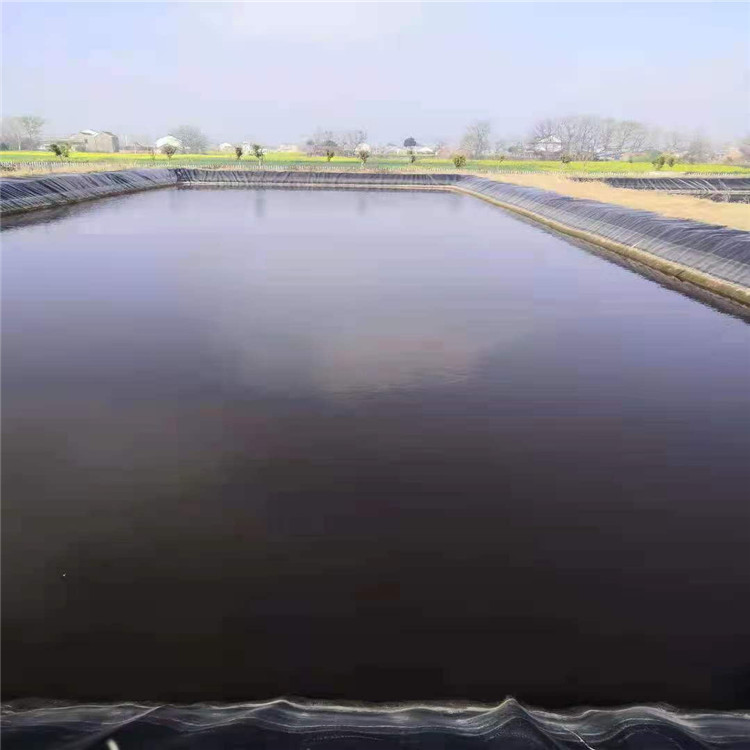 HDPE土工膜用于水产养殖的优点