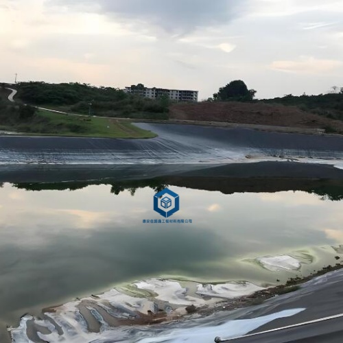 HDPE土工膜在水库防渗工程中的应用案例